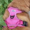 Venture Paw Pull Control Dog Harness